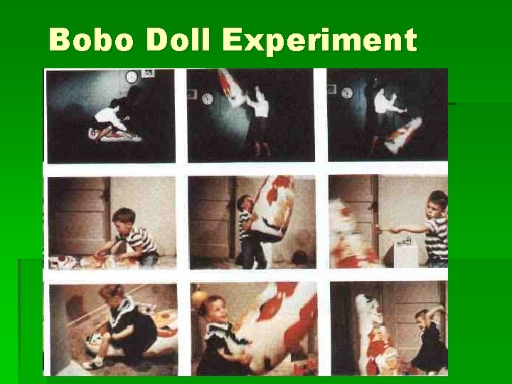 Bobo Doll Experiment 