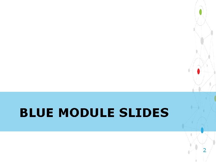 BLUE MODULE SLIDES 2 