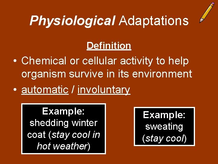 Physiological Adaptations Definition • Chemical or cellular activity to help organism survive in its