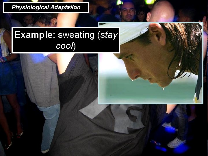 Physiological Adaptation Example: sweating (stay cool) 