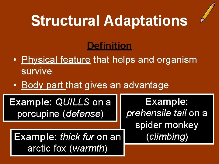 Structural Adaptations Definition • Physical feature that helps and organism survive • Body part