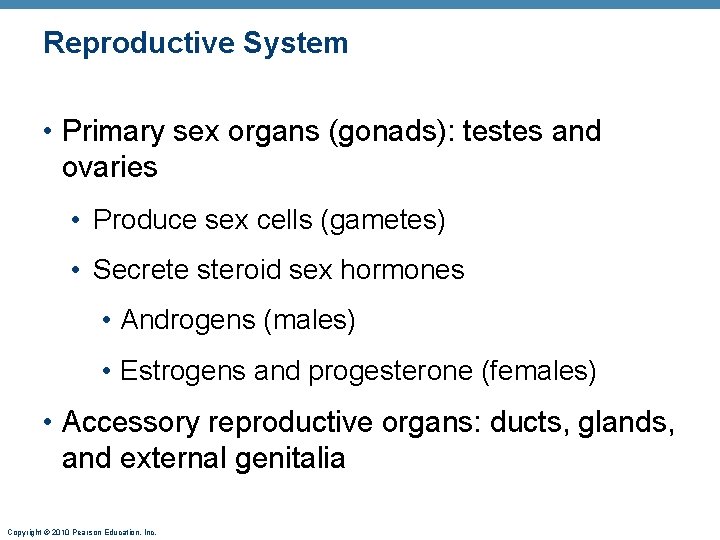 Reproductive System • Primary sex organs (gonads): testes and ovaries • Produce sex cells