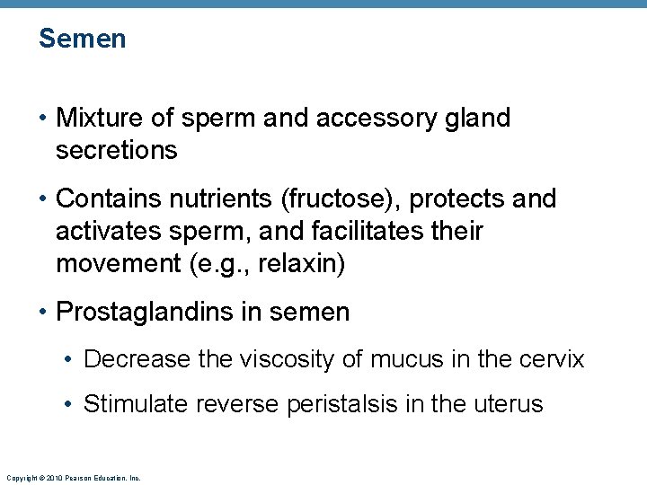 Semen • Mixture of sperm and accessory gland secretions • Contains nutrients (fructose), protects