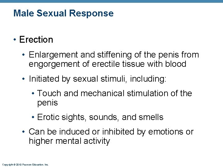 Male Sexual Response • Erection • Enlargement and stiffening of the penis from engorgement