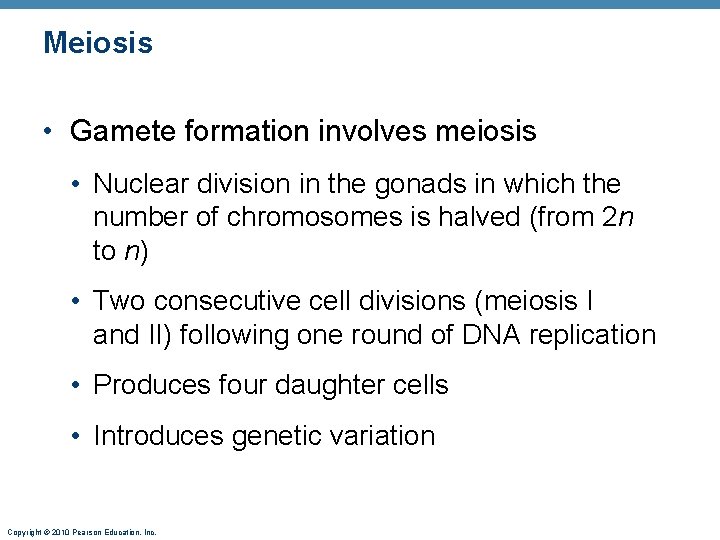 Meiosis • Gamete formation involves meiosis • Nuclear division in the gonads in which