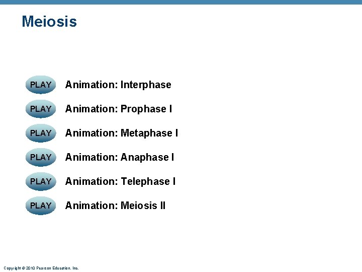 Meiosis PLAY Animation: Interphase PLAY Animation: Prophase I PLAY Animation: Metaphase I PLAY Animation: