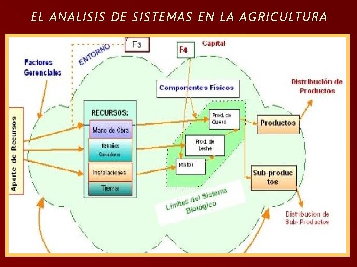 EL ANALISIS DE SISTEMAS EN LA AGRICULTURA 