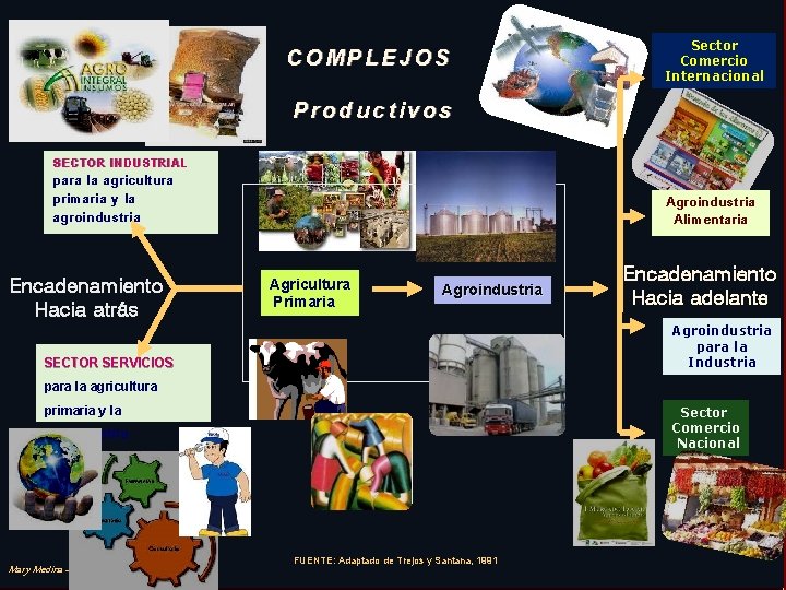 COMPLEJOS Sector Comercio Internacional Productivos SECTOR INDUSTRIAL para la agricultura primaria y la agroindustria