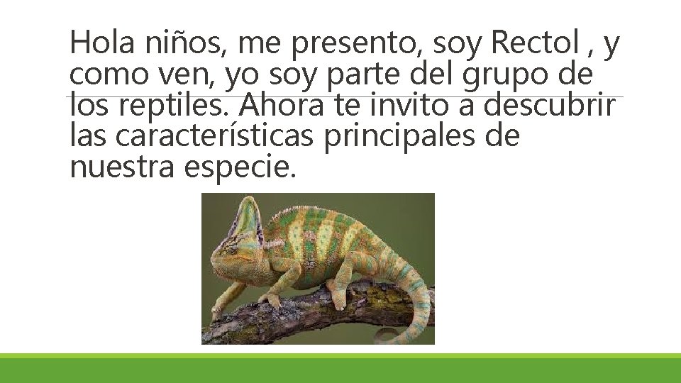 Hola niños, me presento, soy Rectol , y como ven, yo soy parte del