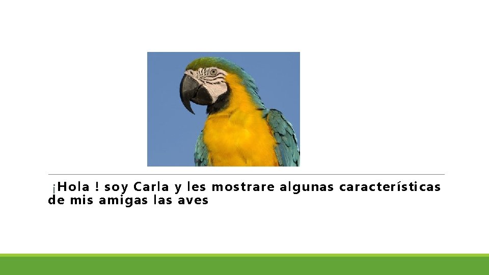  ¡Hola ! soy Carla y les mostrare algunas características de mis amigas las