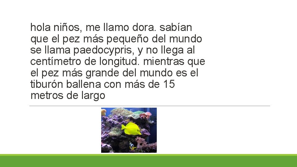 hola niños, me llamo dora. sabían que el pez más pequeño del mundo se