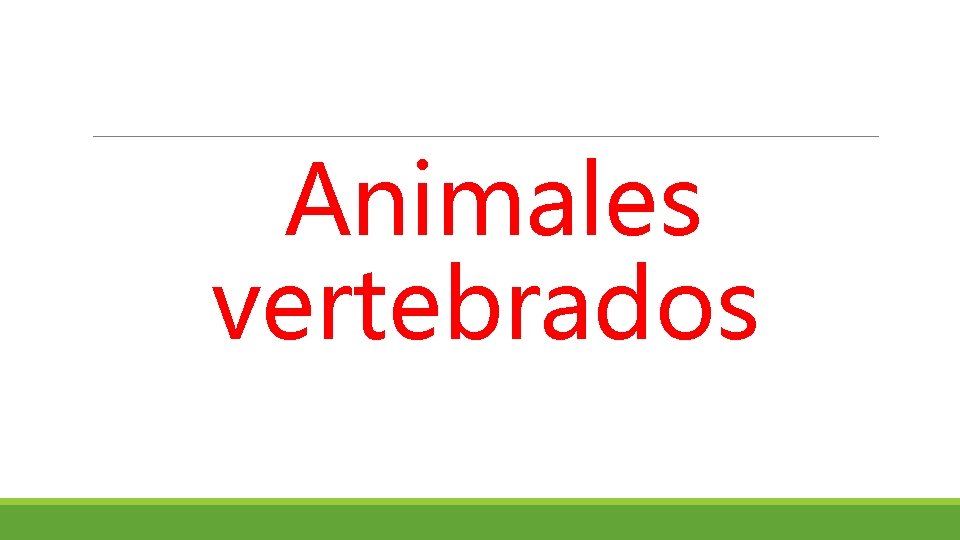  Animales vertebrados 