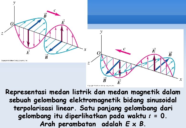 Representasi medan listrik dan medan magnetik dalam sebuah gelombang elektromagnetik bidang sinusoidal terpolarisasi linear.