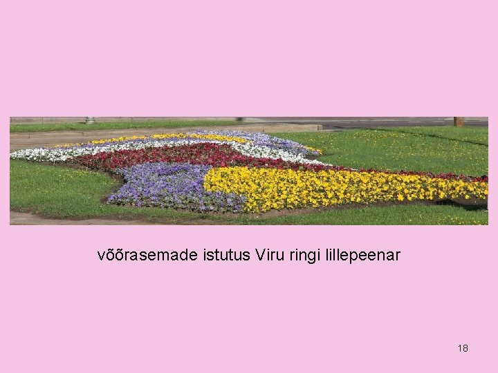 võõrasemade istutus Viru ringi lillepeenar 18 