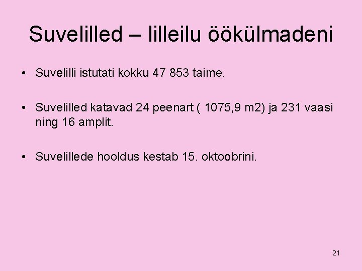 Suvelilled – lilleilu öökülmadeni • Suvelilli istutati kokku 47 853 taime. • Suvelilled katavad