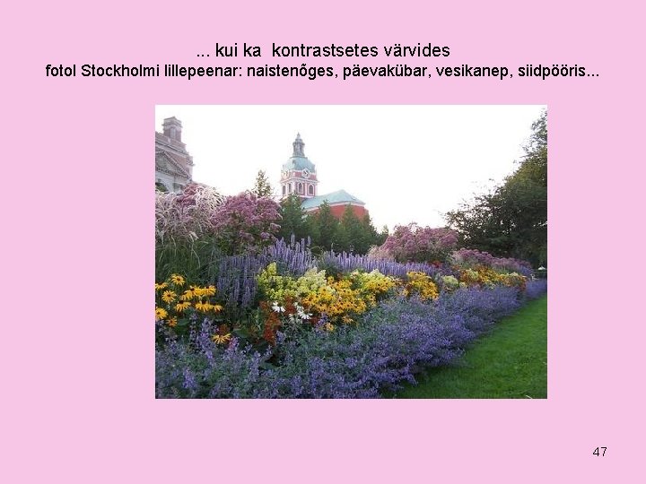 . . . kui ka kontrastsetes värvides fotol Stockholmi lillepeenar: naistenõges, päevakübar, vesikanep, siidpööris.