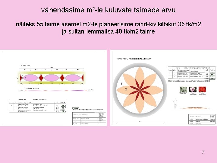 vähendasime m²-le kuluvate taimede arvu näiteks 55 taime asemel m 2 -le planeerisime rand-kivikilbikut