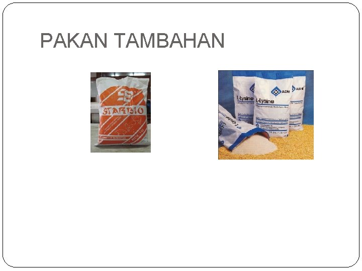 PAKAN TAMBAHAN 