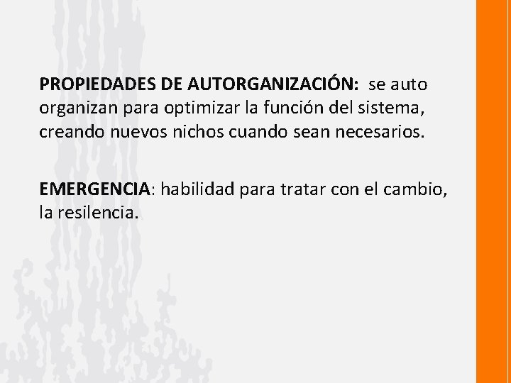 PROPIEDADES DE AUTORGANIZACIÓN: se auto organizan para optimizar la función del sistema, creando nuevos