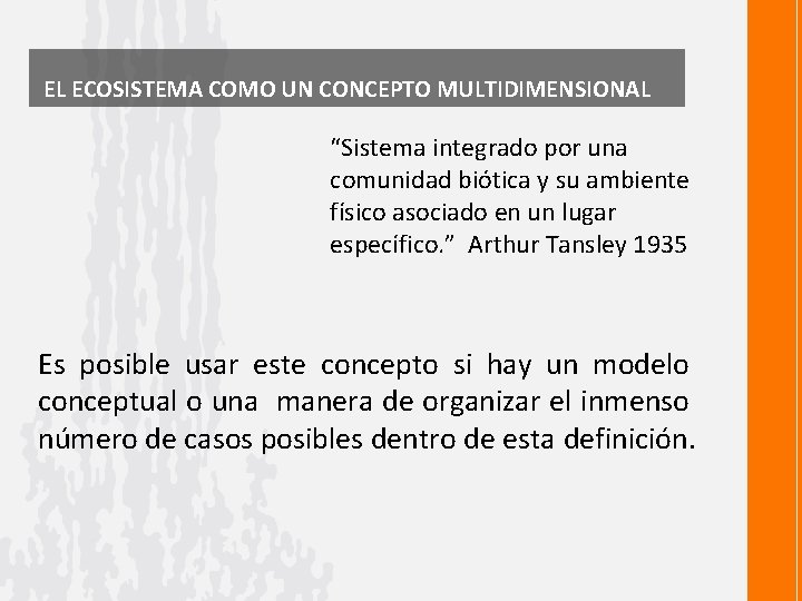 EL ECOSISTEMA COMO UN CONCEPTO MULTIDIMENSIONAL “Sistema integrado por una comunidad biótica y su