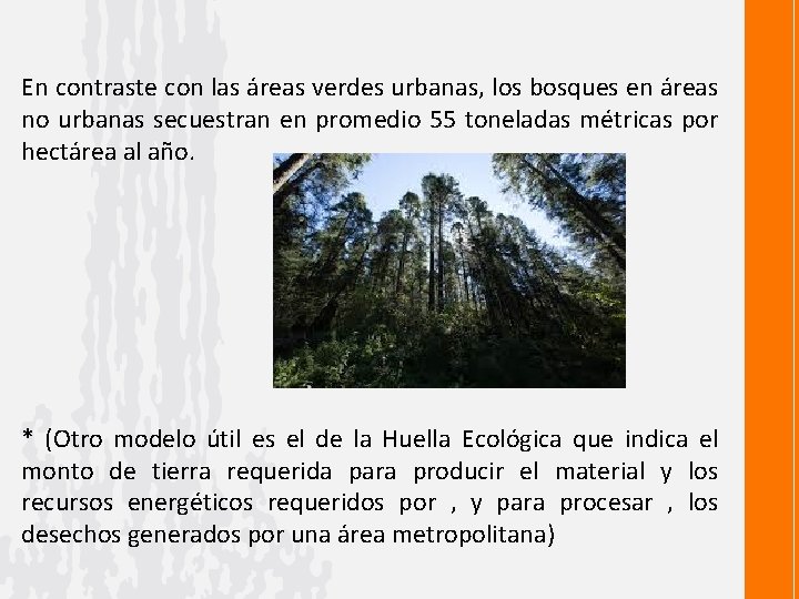 En contraste con las áreas verdes urbanas, los bosques en áreas no urbanas secuestran