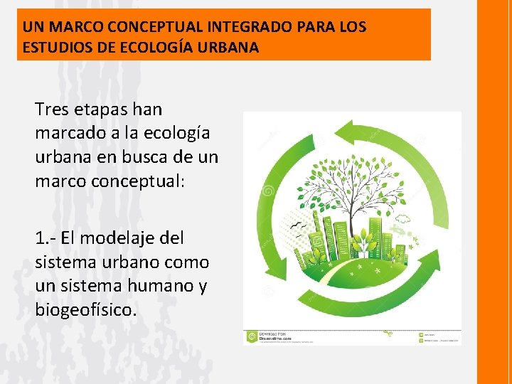 UN MARCO CONCEPTUAL INTEGRADO PARA LOS ESTUDIOS DE ECOLOGÍA URBANA Tres etapas han marcado