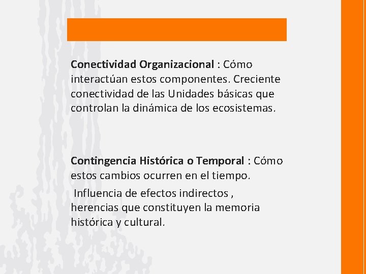 Conectividad Organizacional : Cómo interactúan estos componentes. Creciente conectividad de las Unidades básicas que