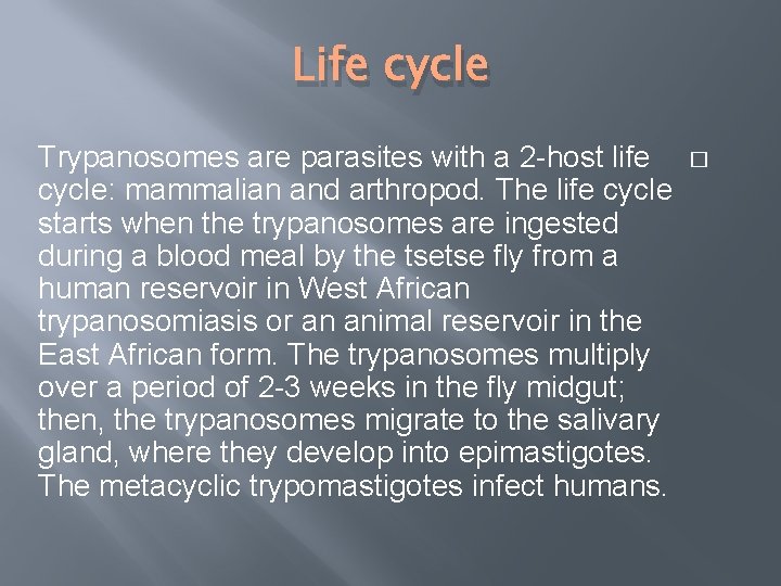 Life cycle Trypanosomes are parasites with a 2 -host life � cycle: mammalian and