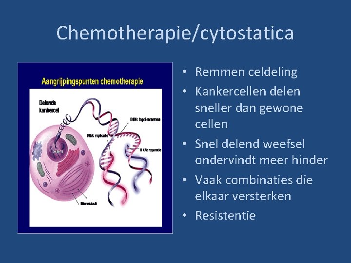 Chemotherapie/cytostatica • Remmen celdeling • Kankercellen delen sneller dan gewone cellen • Snel delend
