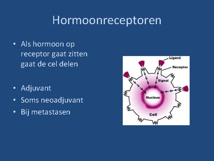 Hormoonreceptoren • Als hormoon op receptor gaat zitten gaat de cel delen • Adjuvant