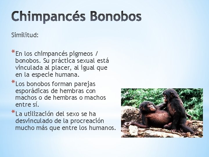 Similitud: *En los chimpancés pigmeos / bonobos. Su práctica sexual está vinculada al placer,
