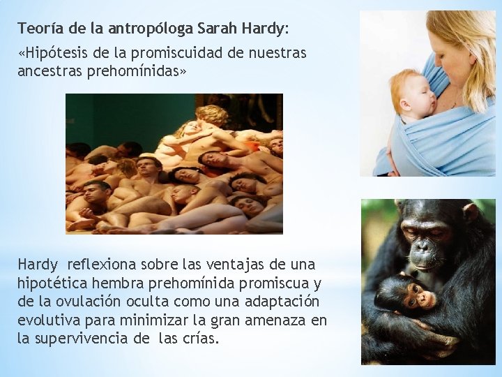 Teoría de la antropóloga Sarah Hardy: «Hipótesis de la promiscuidad de nuestras ancestras prehomínidas»