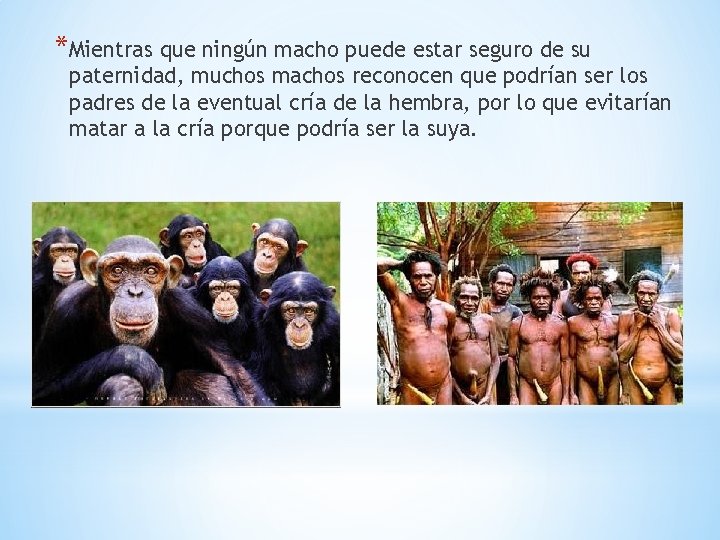 *Mientras que ningún macho puede estar seguro de su paternidad, muchos machos reconocen que
