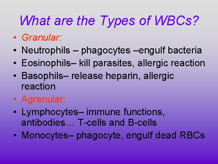 What are the Types of WBCs? • • Granular: Neutrophils – phagocytes –engulf bacteria