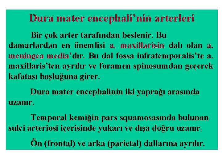 Dura mater encephali’nin arterleri Bir çok arter tarafından beslenir. Bu damarlardan en önemlisi a. Dura mater encephali’nin arterleri Bir çok arter tarafından beslenir. Bu damarlardan en önemlisi a.