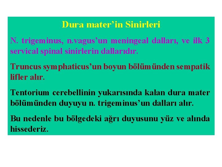 Dura mater’in Sinirleri N. trigeminus, n. vagus’un meningeal dalları, ve ilk 3 servical spinal Dura mater’in Sinirleri N. trigeminus, n. vagus’un meningeal dalları, ve ilk 3 servical spinal