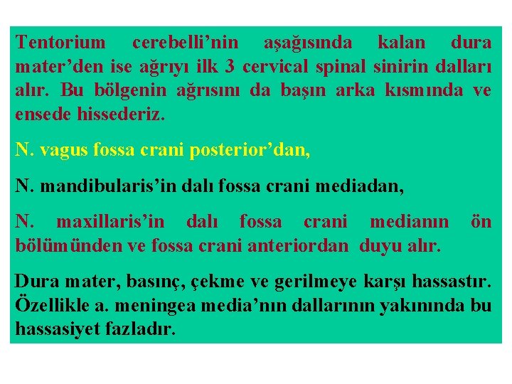 Tentorium cerebelli’nin aşağısında kalan dura mater’den ise ağrıyı ilk 3 cervical spinal sinirin dalları Tentorium cerebelli’nin aşağısında kalan dura mater’den ise ağrıyı ilk 3 cervical spinal sinirin dalları