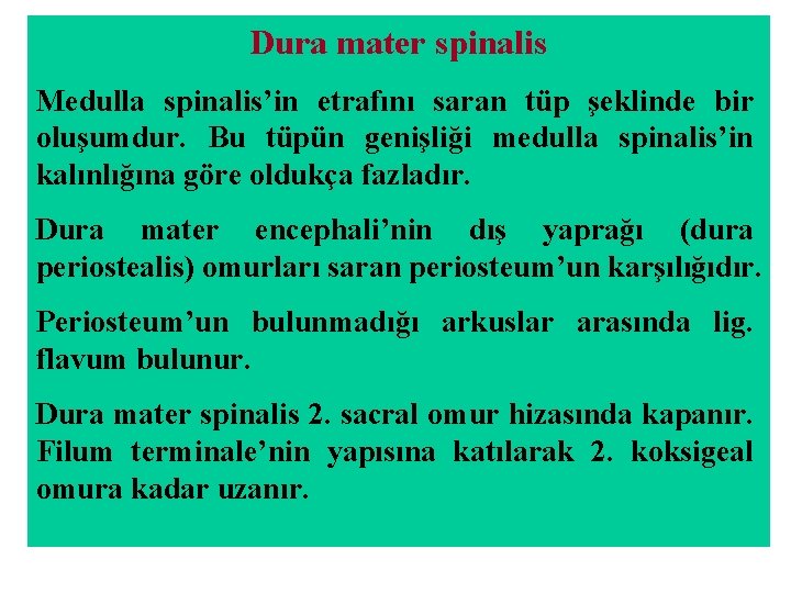 Dura mater spinalis Medulla spinalis’in etrafını saran tüp şeklinde bir oluşumdur. Bu tüpün genişliği Dura mater spinalis Medulla spinalis’in etrafını saran tüp şeklinde bir oluşumdur. Bu tüpün genişliği