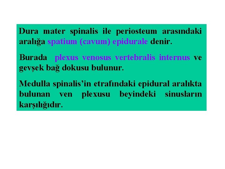 Dura mater spinalis ile periosteum arasındaki aralığa spatium (cavum) epidurale denir. Burada plexus venosus Dura mater spinalis ile periosteum arasındaki aralığa spatium (cavum) epidurale denir. Burada plexus venosus