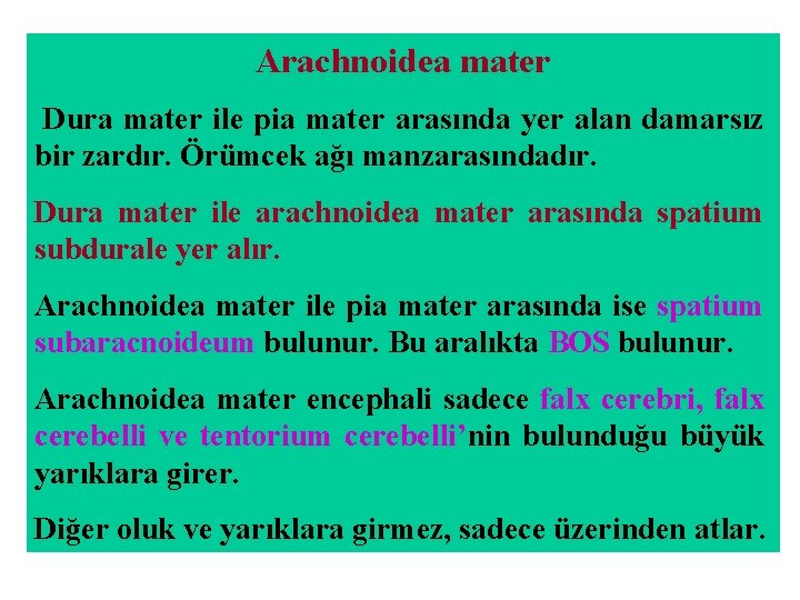 Arachnoidea mater Dura mater ile pia mater arasında yer alan damarsız bir zardır. Örümcek Arachnoidea mater Dura mater ile pia mater arasında yer alan damarsız bir zardır. Örümcek