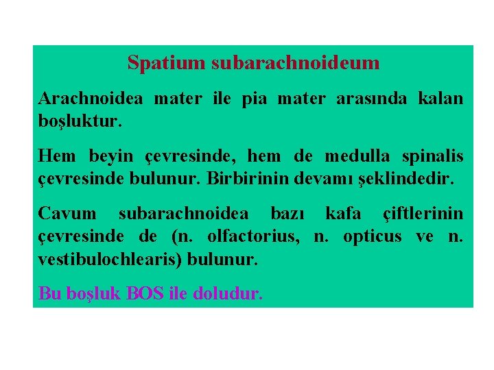 Spatium subarachnoideum Arachnoidea mater ile pia mater arasında kalan boşluktur. Hem beyin çevresinde, hem Spatium subarachnoideum Arachnoidea mater ile pia mater arasında kalan boşluktur. Hem beyin çevresinde, hem