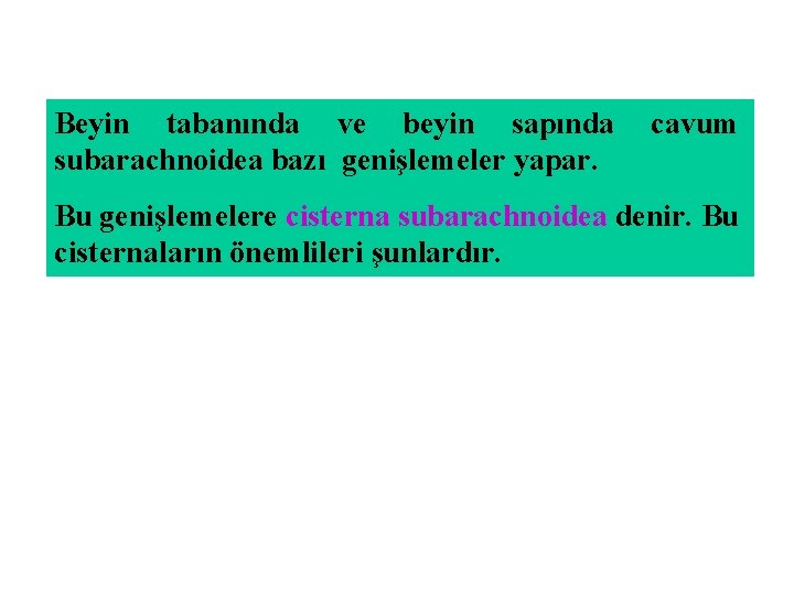 Beyin tabanında ve beyin sapında subarachnoidea bazı genişlemeler yapar. cavum Bu genişlemelere cisterna subarachnoidea Beyin tabanında ve beyin sapında subarachnoidea bazı genişlemeler yapar. cavum Bu genişlemelere cisterna subarachnoidea