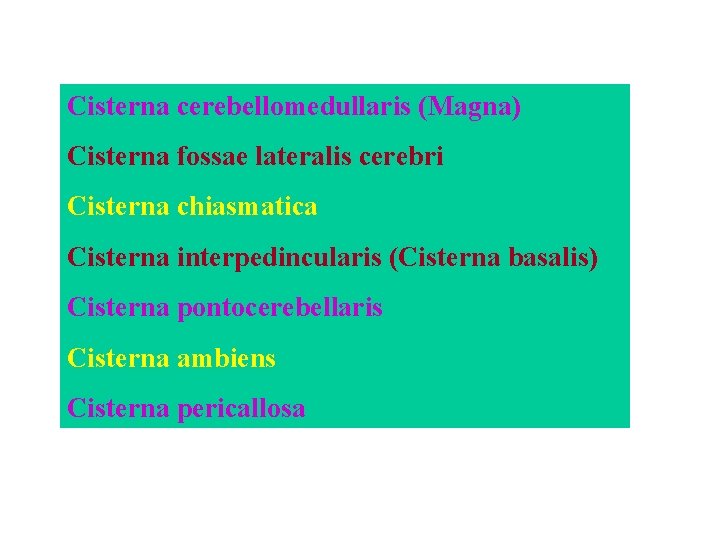 Cisterna cerebellomedullaris (Magna) Cisterna fossae lateralis cerebri Cisterna chiasmatica Cisterna interpedincularis (Cisterna basalis) Cisterna Cisterna cerebellomedullaris (Magna) Cisterna fossae lateralis cerebri Cisterna chiasmatica Cisterna interpedincularis (Cisterna basalis) Cisterna