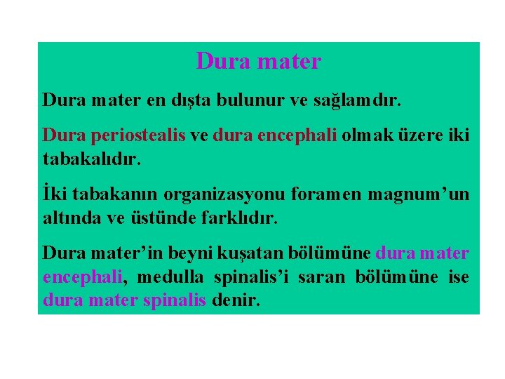 Dura mater en dışta bulunur ve sağlamdır. Dura periostealis ve dura encephali olmak üzere Dura mater en dışta bulunur ve sağlamdır. Dura periostealis ve dura encephali olmak üzere