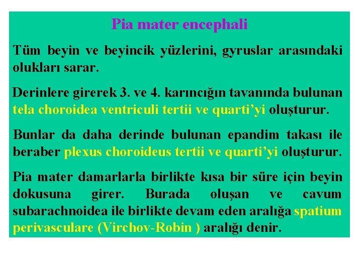 Pia mater encephali Tüm beyin ve beyincik yüzlerini, gyruslar arasındaki olukları sarar. Derinlere girerek Pia mater encephali Tüm beyin ve beyincik yüzlerini, gyruslar arasındaki olukları sarar. Derinlere girerek