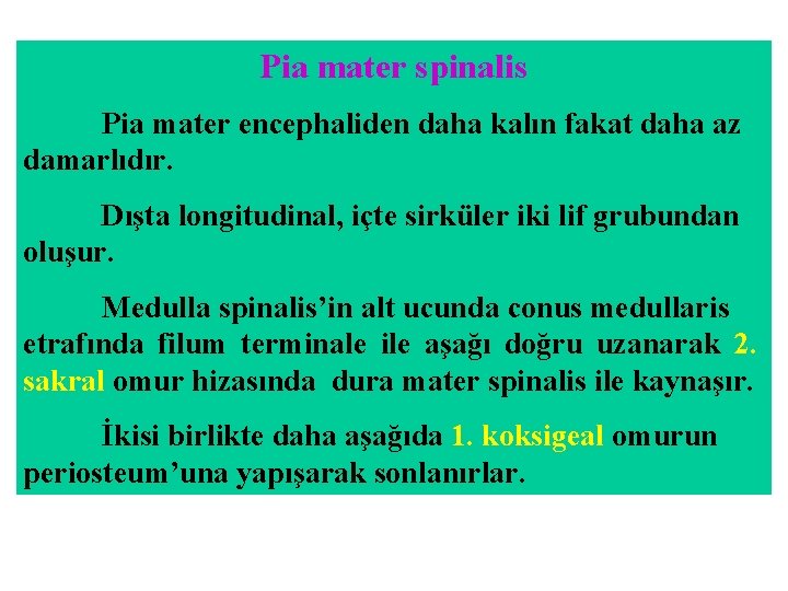 Pia mater spinalis Pia mater encephaliden daha kalın fakat daha az damarlıdır. Dışta longitudinal, Pia mater spinalis Pia mater encephaliden daha kalın fakat daha az damarlıdır. Dışta longitudinal,