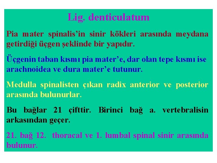 Lig. denticulatum Pia mater spinalis’in sinir kökleri arasında meydana getirdiği üçgen şeklinde bir yapıdır. Lig. denticulatum Pia mater spinalis’in sinir kökleri arasında meydana getirdiği üçgen şeklinde bir yapıdır.