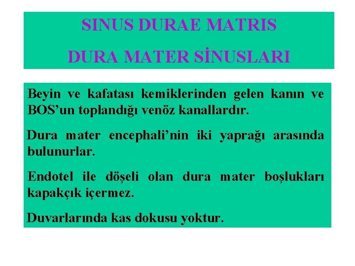 SINUS DURAE MATRIS DURA MATER SİNUSLARI Beyin ve kafatası kemiklerinden gelen kanın ve BOS’un SINUS DURAE MATRIS DURA MATER SİNUSLARI Beyin ve kafatası kemiklerinden gelen kanın ve BOS’un