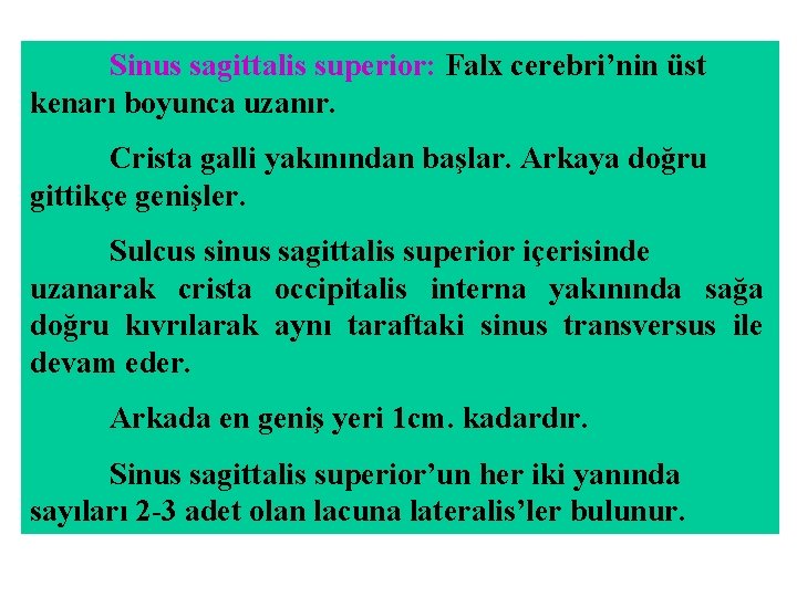 Sinus sagittalis superior: Falx cerebri’nin üst kenarı boyunca uzanır. Crista galli yakınından başlar. Arkaya Sinus sagittalis superior: Falx cerebri’nin üst kenarı boyunca uzanır. Crista galli yakınından başlar. Arkaya