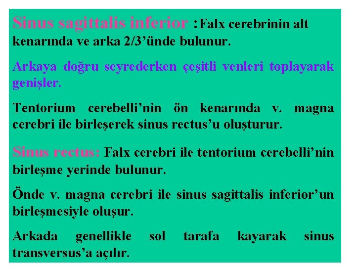 Sinus sagittalis inferior : Falx cerebrinin alt kenarında ve arka 2/3’ünde bulunur. Arkaya doğru Sinus sagittalis inferior : Falx cerebrinin alt kenarında ve arka 2/3’ünde bulunur. Arkaya doğru